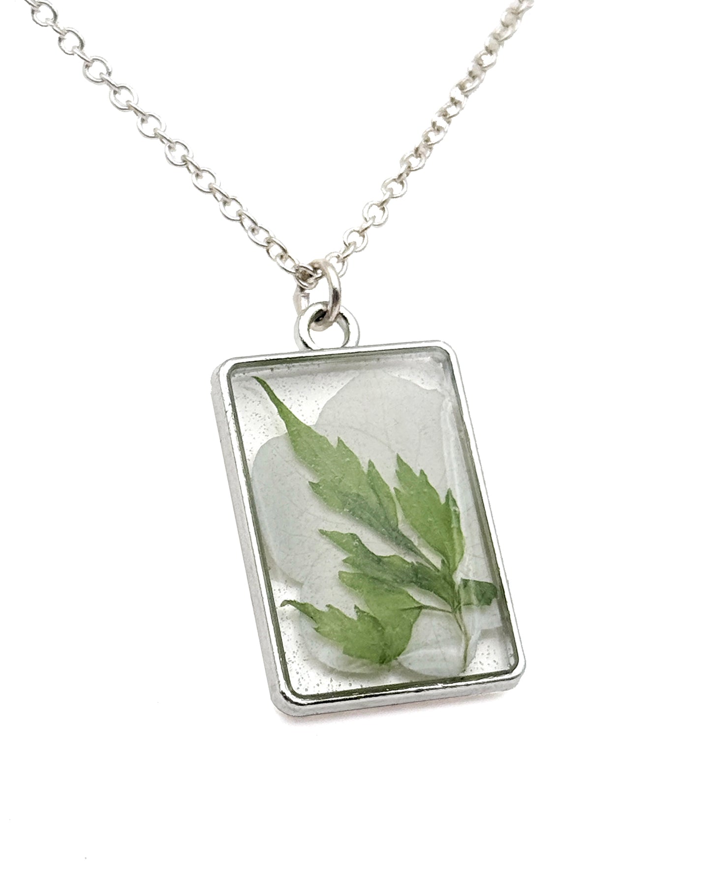 Botanicals #12