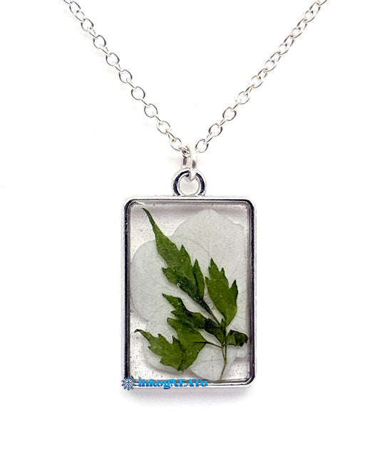 Botanicals #12
