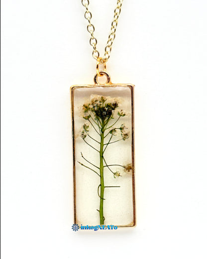 Botanicals #13