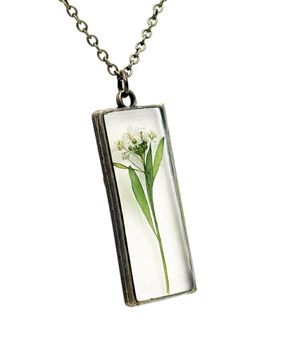 Botanicals #8