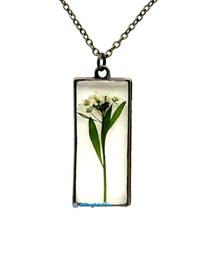 Botanicals #8