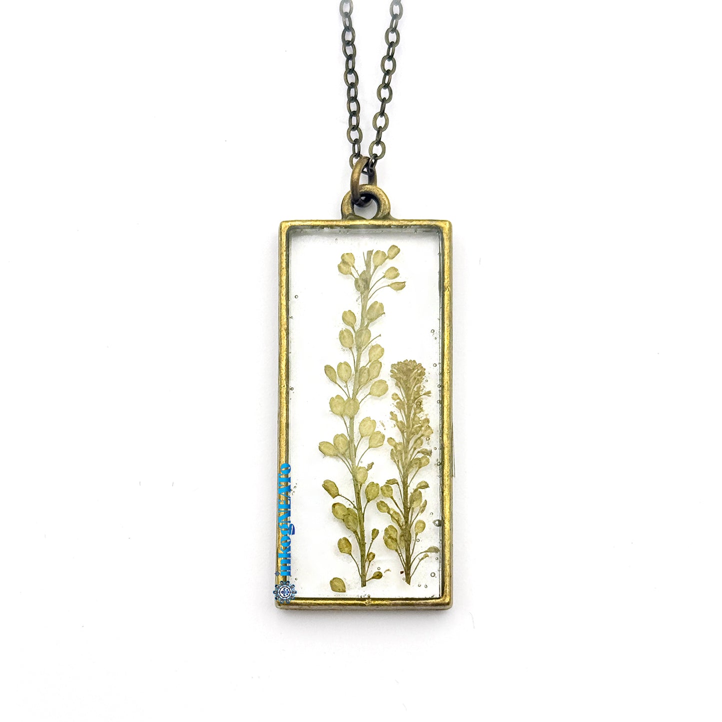 Botanicals #27